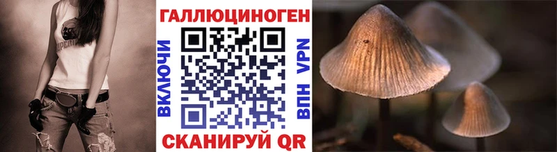 цены наркотик  Ликино-Дулёво  MEGA   Галлюциногенные грибы Psilocybe 